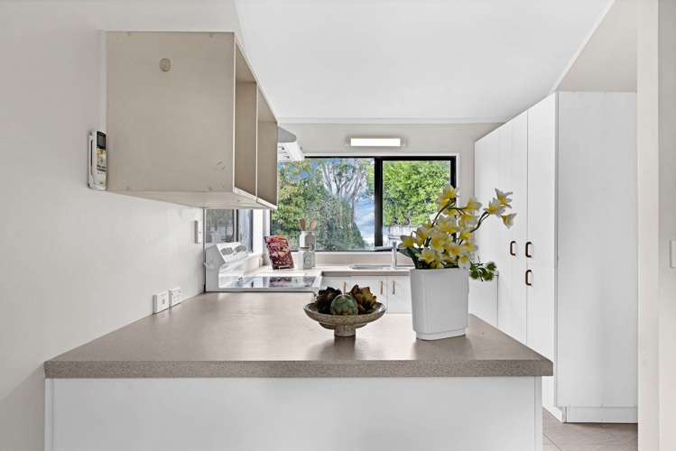 64B Frederick Street Hillsborough_8