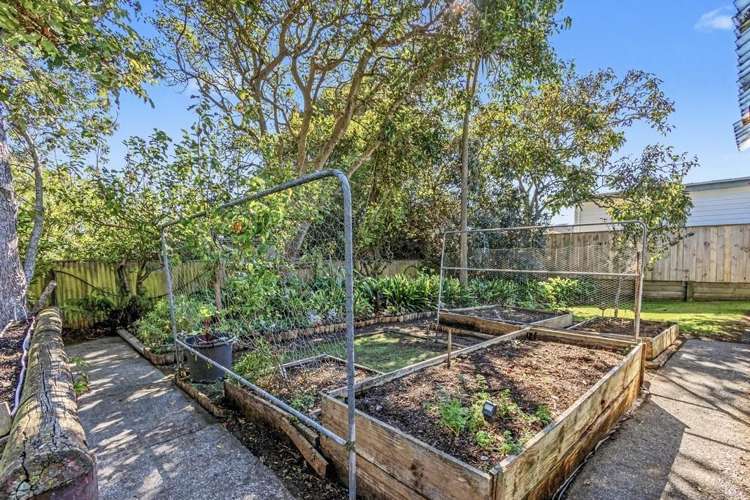 14 Toi Street Tawhero_23