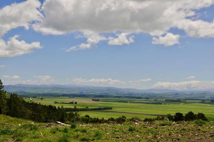 Lot 1 Gaudion Road, Peebles_0