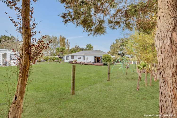 311 Makino Road Feilding_8