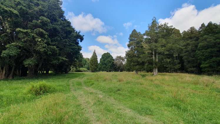 1241 Ararua Road Ararua_16