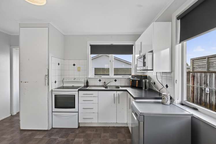 237 Huatoki Street Upper Vogeltown_17