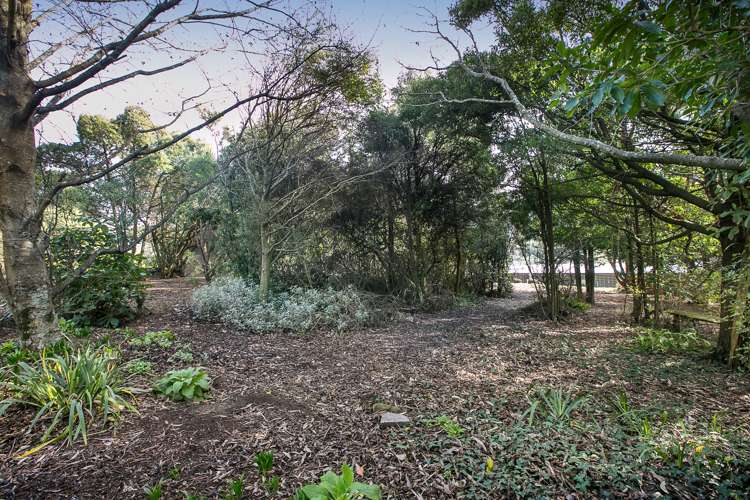 109 Cliffs Road Saint Clair_6