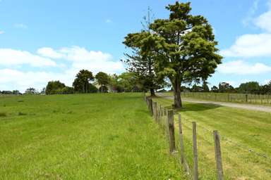 867 Kahikatea Flat Road_1