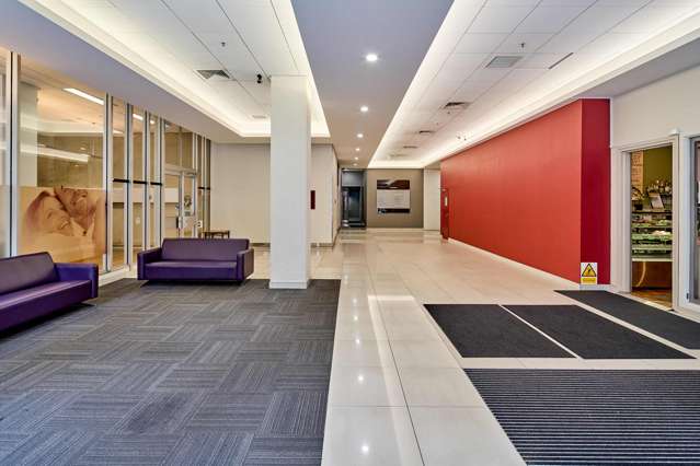 155 The Terrace Wellington Central_1