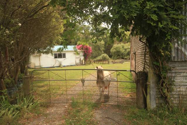 1159 Kanakanaia Road Whatatutu_3