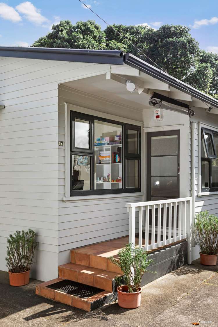 1b Hazel Avenue Mount Roskill_11