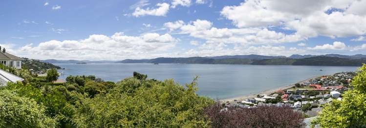 1 Fettes Crescent Seatoun_11