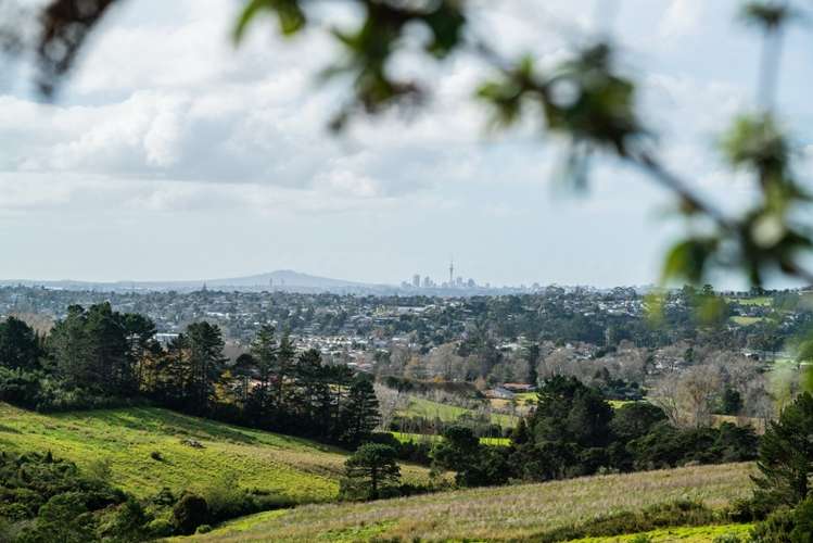 150 Forest Hill Road Henderson_23