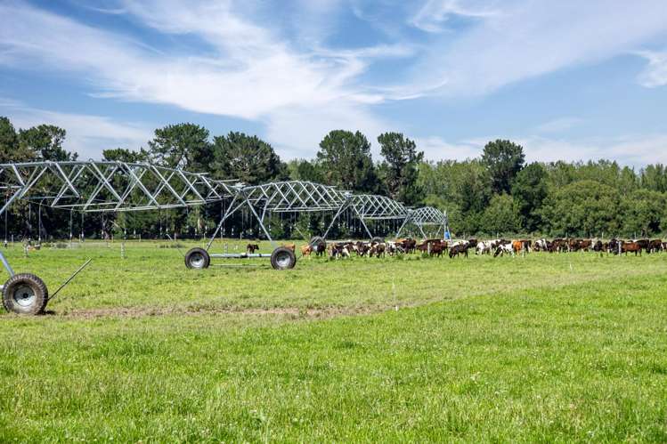 2247 Tinwald Westerfield Mayfield Road Ashburton_25