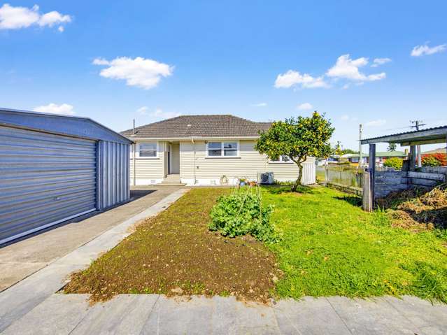 18 Clyde street Levin_2