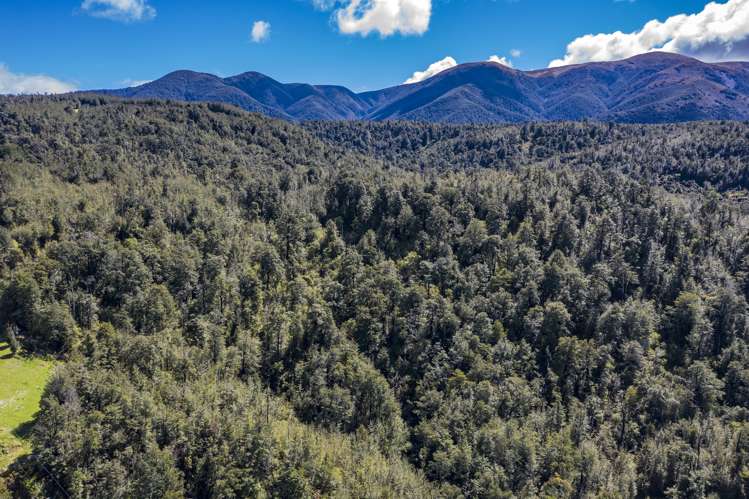 254 New Road Oxford_9