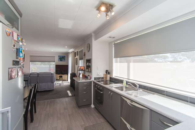 62 Princes Street Temuka_1