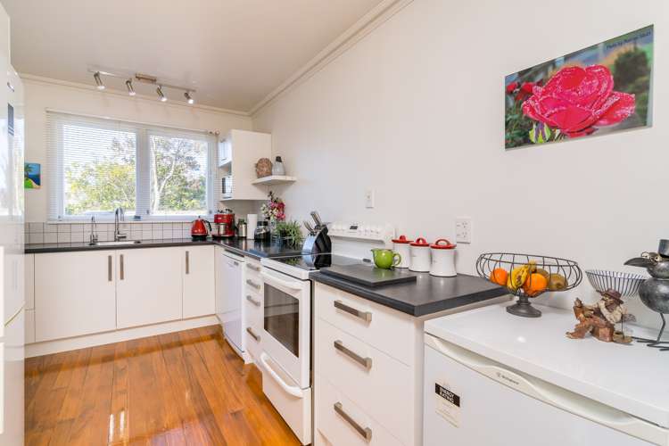 16 Tay Street Mosgiel_4