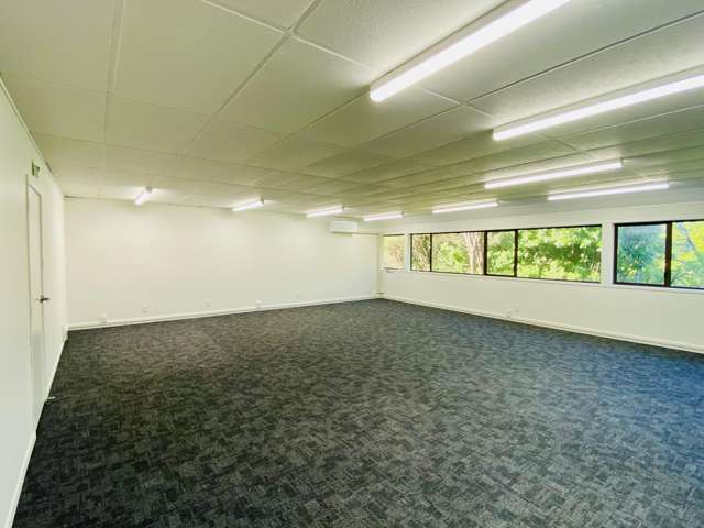 Renovated | Available NOW | Pioneer St