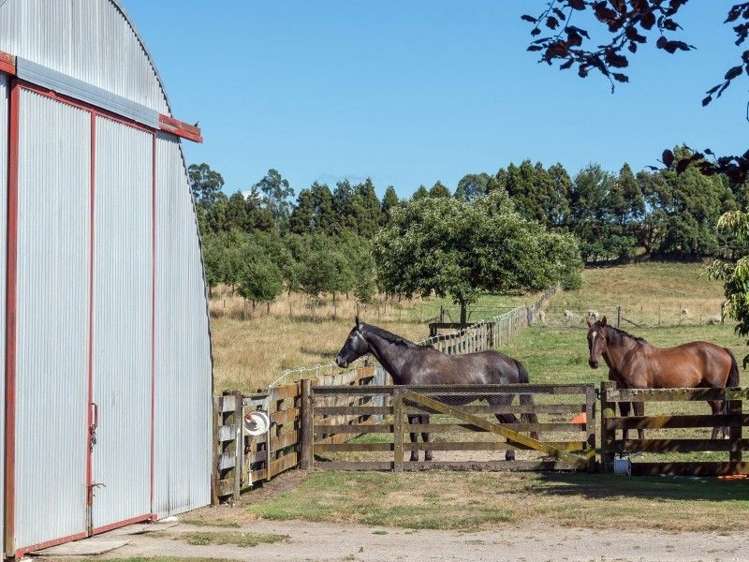 93 Jackson Road Hamurana_38