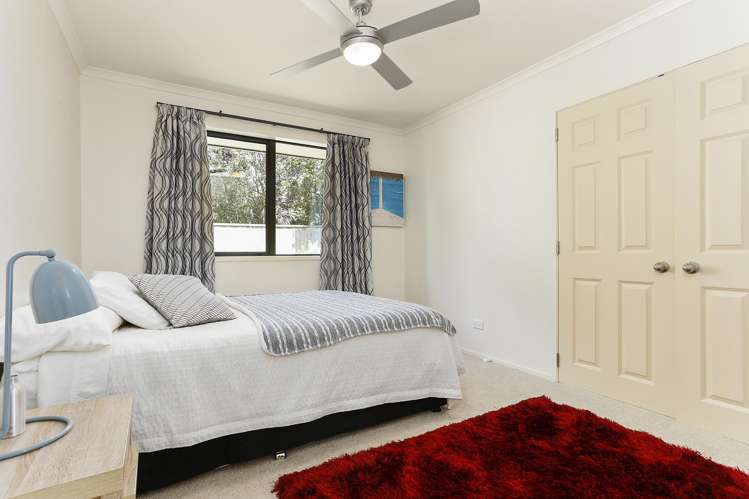 240 Pine Valley Road Dairy Flat_12