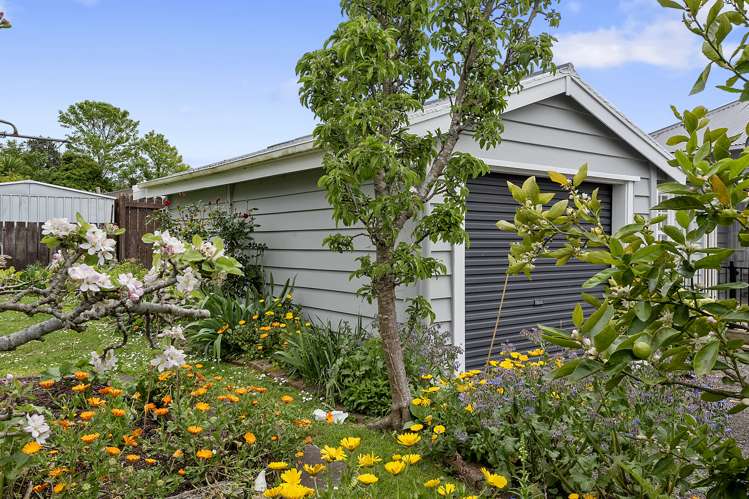 428 Thames Street Morrinsville_22