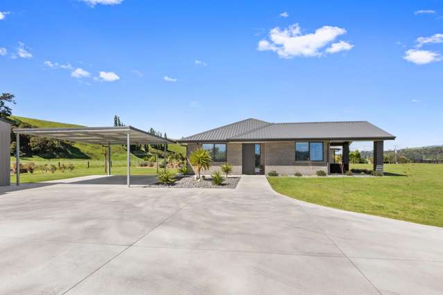 321 Horahora Road Hauraki Surrounds_2