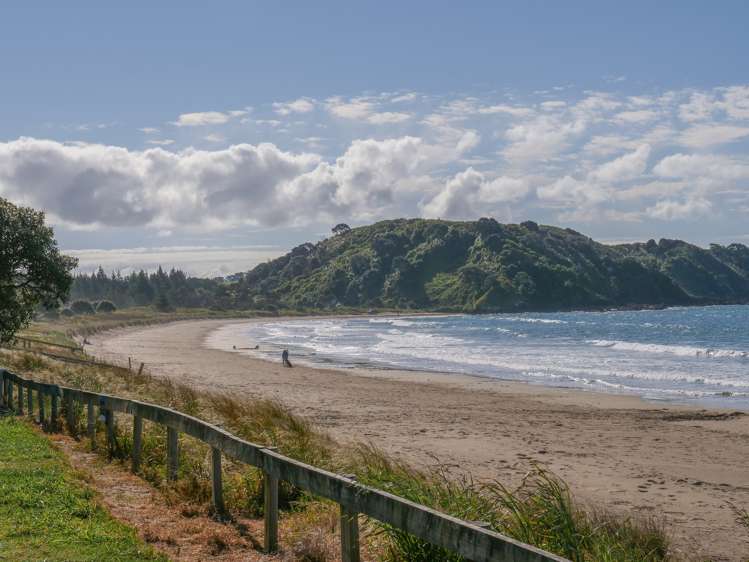 2 Flame Tree Lane Taipa_17