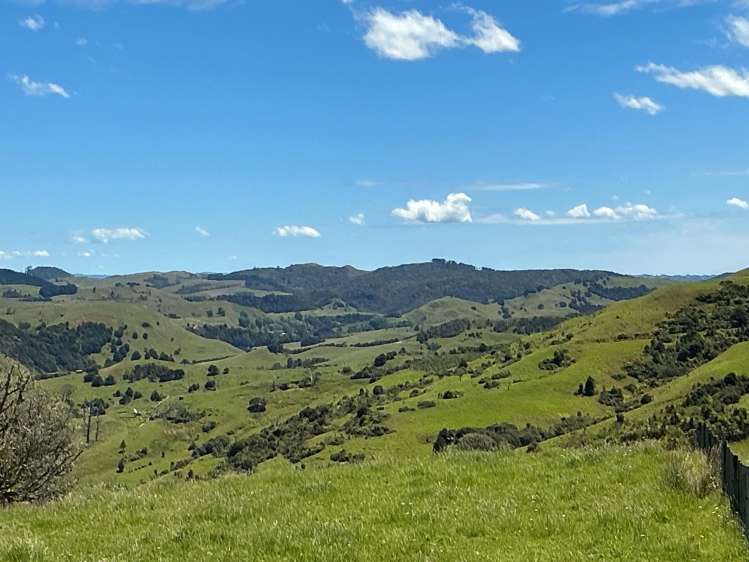 Lot 3 DP539905 Dill Road Kaipara Flats_1