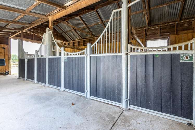 193a Duncan Road Tamahere_21