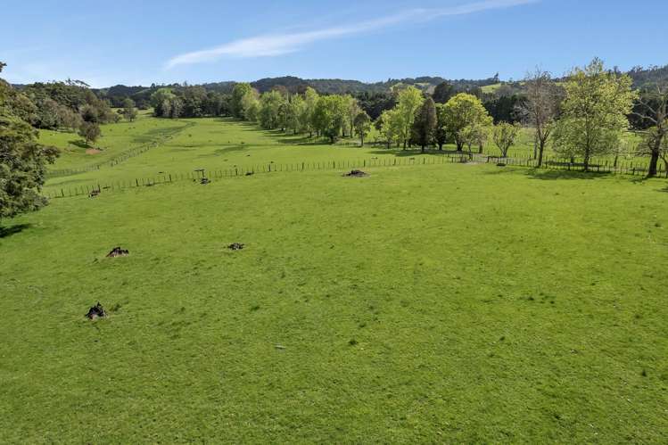 90 Mckinley Road Kokopu_41