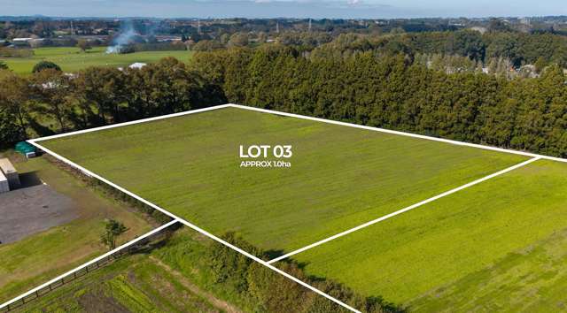 Lot 2 Access Road Kumeu_4