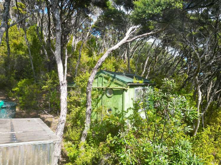 Lot 4 DP66008 North Cove Kawau Island_14