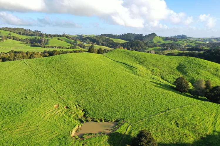 34 Wairere Valley Road Paparoa_9