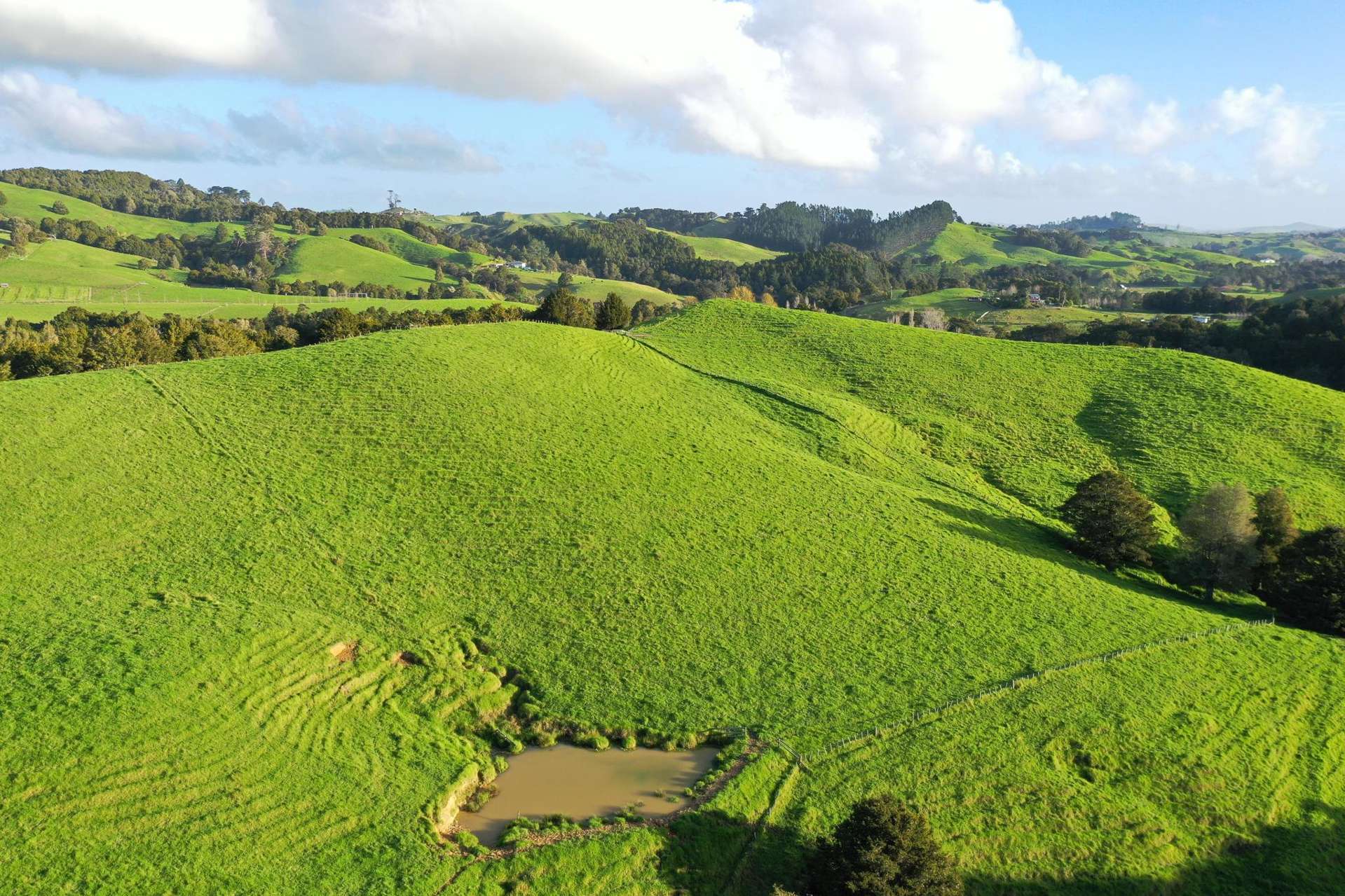 34 Wairere Valley Road Paparoa_0