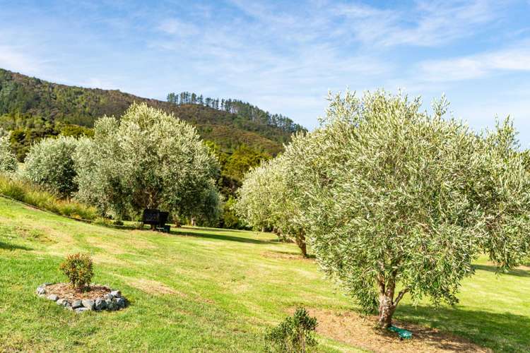 157 Robert Hastie Drive Mangawhai_25