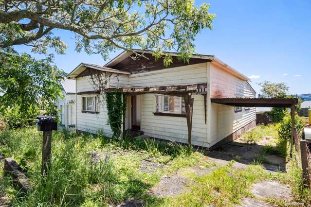 Kingsland Opportunity Knocks