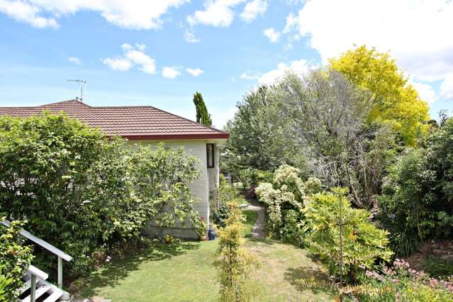 33a White Street Taradale_4