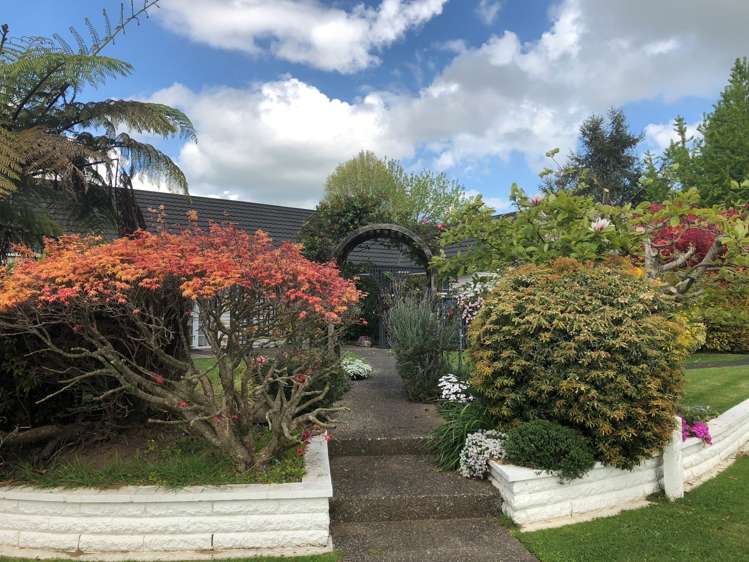 19 Weka Street Matamata_13