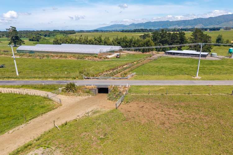 493 Smith Road Dannevirke_15