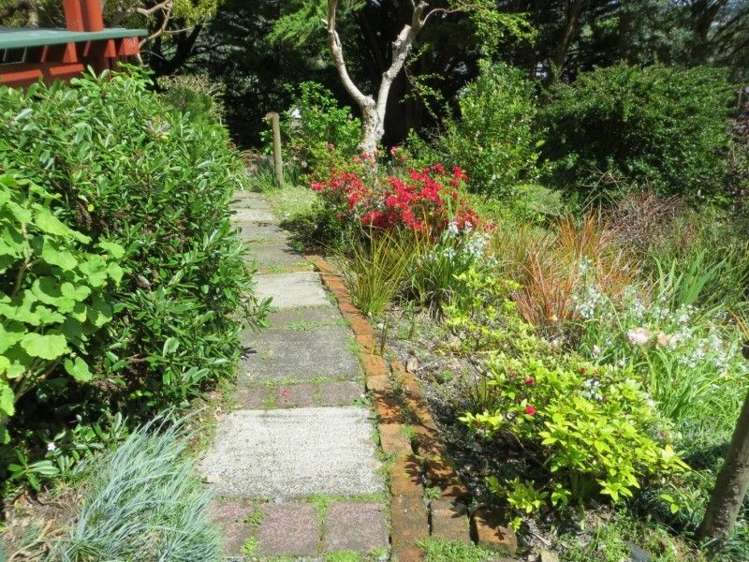 2 Kotuku Street Te Aroha_22