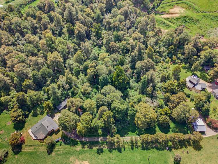 2159 Motueka Valley Highway Ngatimoti_14