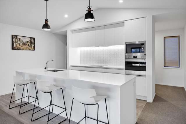 30B Sycamore Grove Lower Vogeltown_2