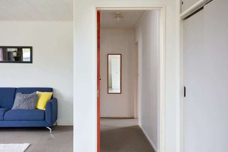 20 Hinaki Street Inner Kaiti_9