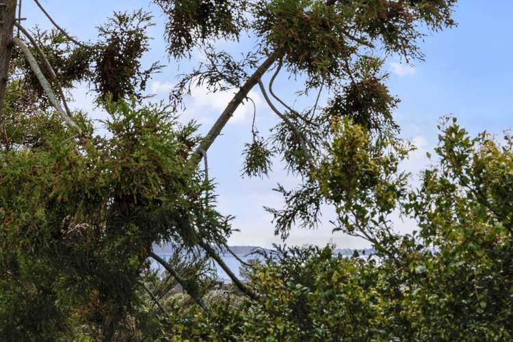 3 Scott Road Stanmore Bay_12