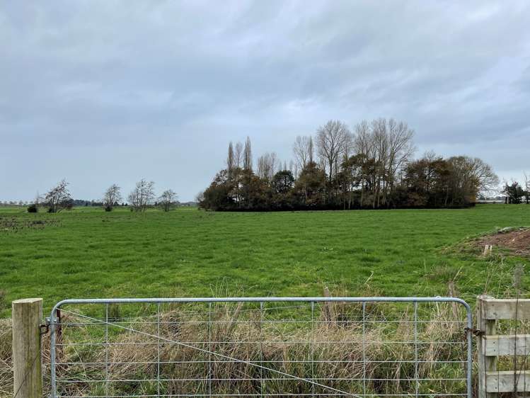 290 Dawson Road_1