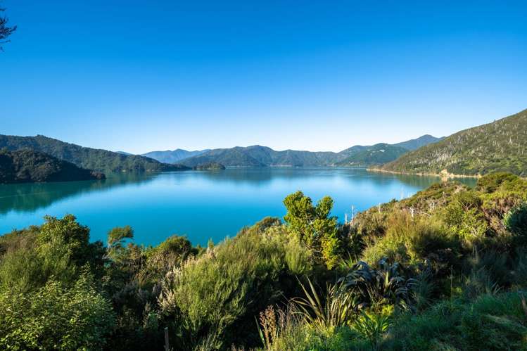 448 Tamuakawawe Bay Marlborough Sounds_14