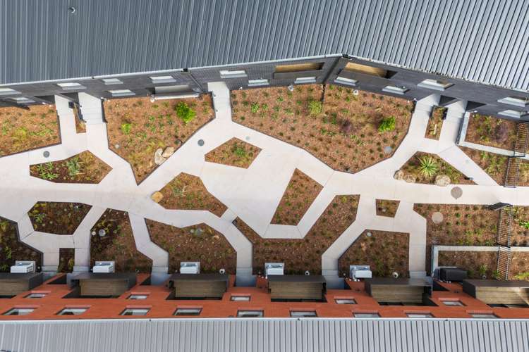 1-31 Pikotoetoe Urban Terraces Papatoetoe_9