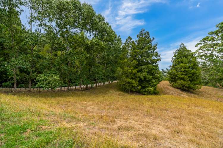 118 Bodhisattva Road Waitoki_9