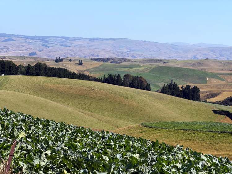 665-901 Tima Burn Road Teviot_31