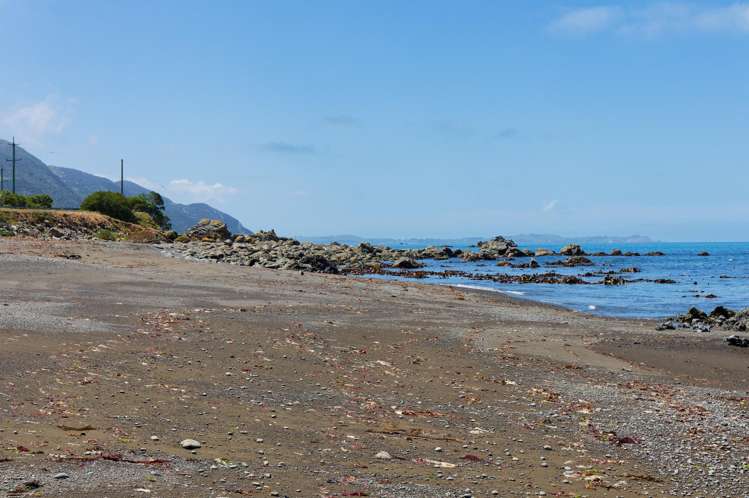 10 Valley Road Kaikoura Surrounds_24