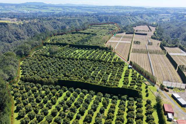 23.88 ha Exceptional flat land!