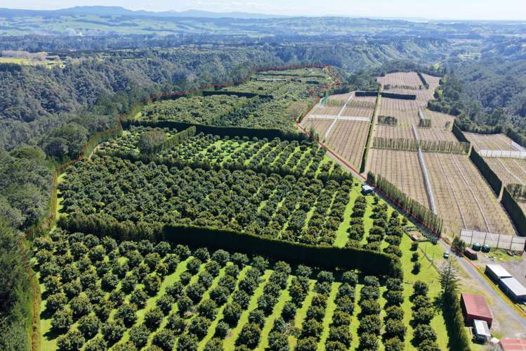 232C Williams Road North_0