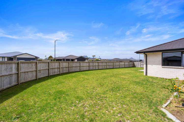 31 Saint Michael Crescent One Tree Point_6